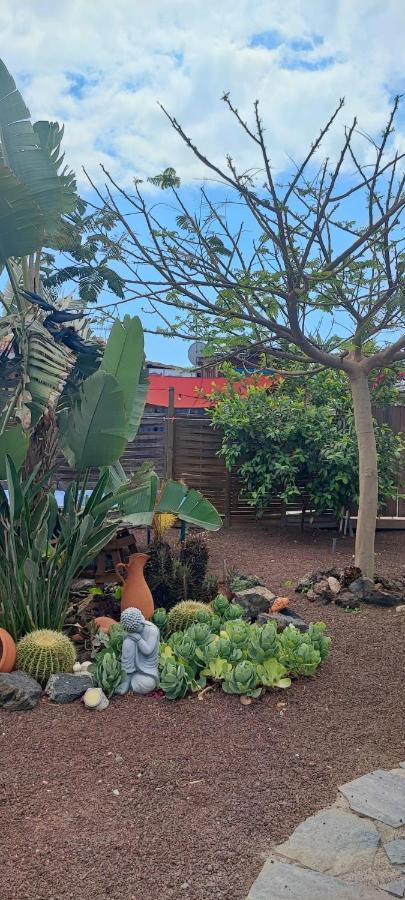 Beautiful Vintage Bungalow Wifi Parking. Las Galletas Exterior foto